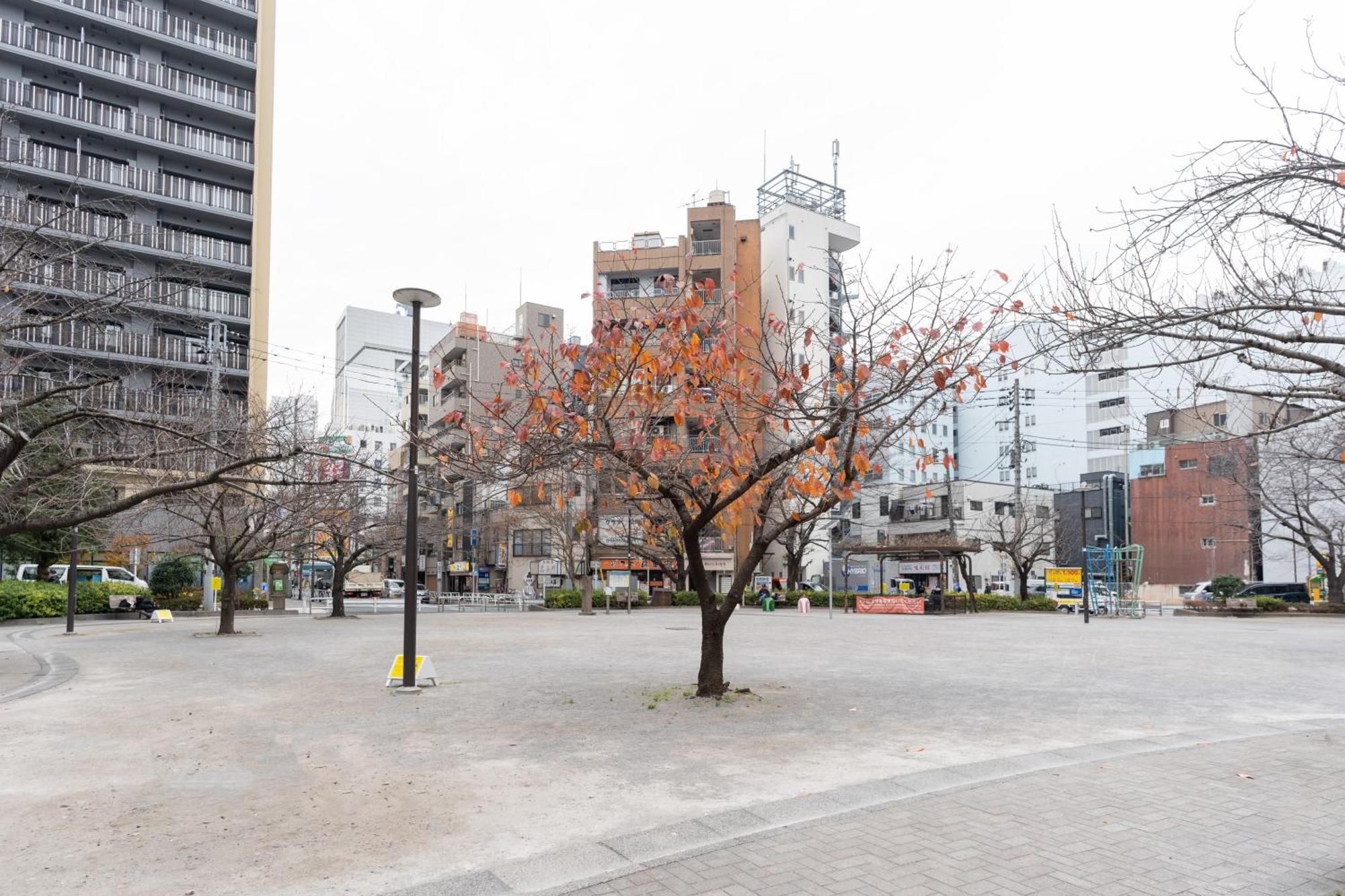 錦糸町ハウス Appartamento